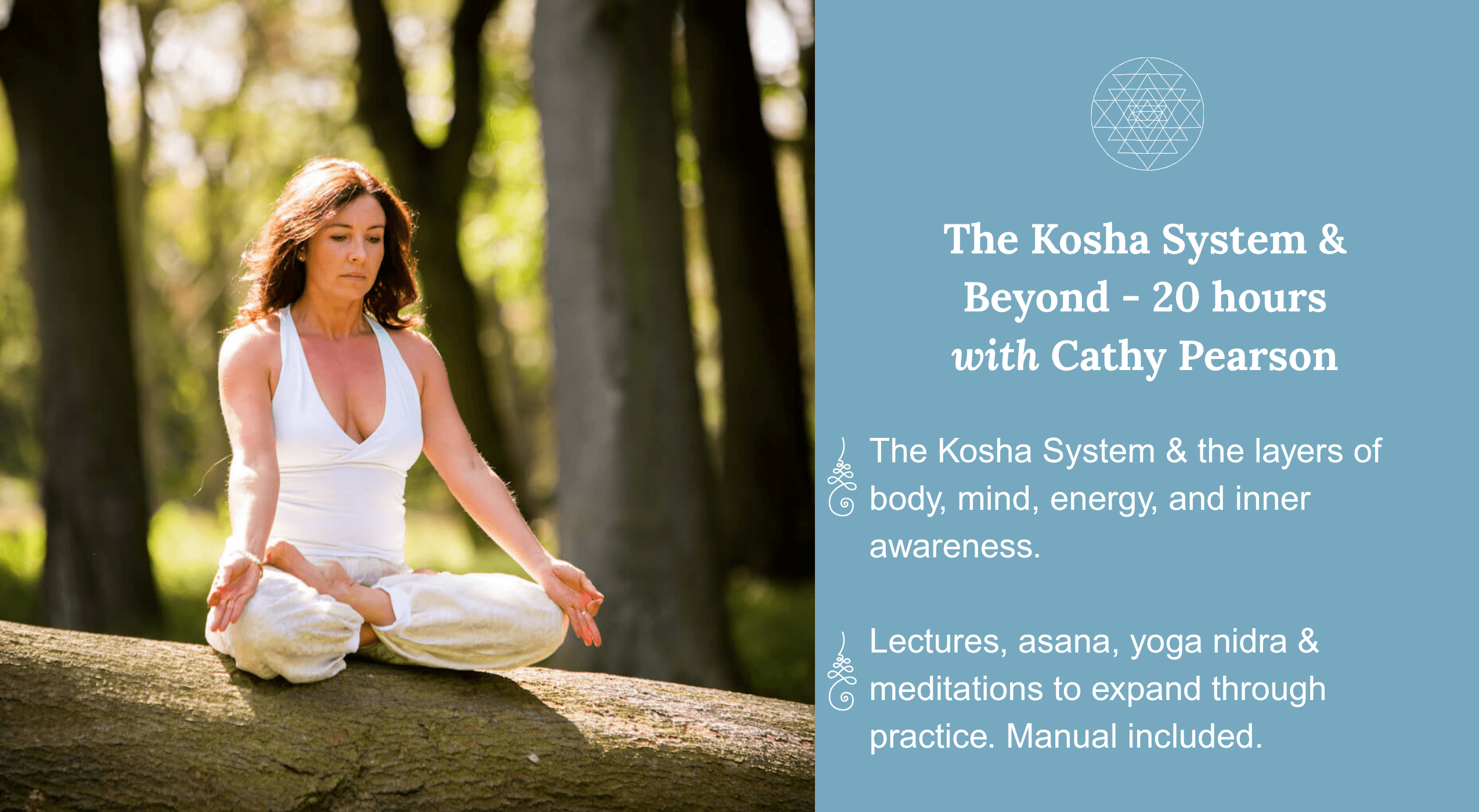 The Kosha System & Beyond